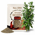 Sweet Reba Acorn Squash Seeds: Organic Heirloom Vegetable, Non-GMO
