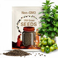 Mint Julep Tomato Seeds: Heirloom, Open Pollinated, Non-GMO