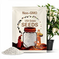 White Jalapeno pepper seeds - pack of 10