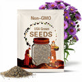 New England Aster Seeds (Symphyotrichum novae-angliae)