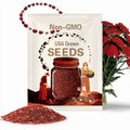Yarrow, Red | 100 Seeds | Heirloom Medicinal Herb | Non GMO | Achillea millefolium