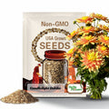 40 Seeds | Candlelight Dahlia Seeds -  Pollinator Friendly- Open Pollinated - Heirloom - Flower Seeds - Mix Seeds to Plant - .#D025.