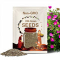 Callirhoe involucrata 30Seeds – Purple Poppy Mallow – Native Ground Cover with Magenta Blooms for Pollinator Gardens, Rock Gardens, Dry Soil