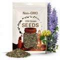 Phlomis Russeliana - Turkish Sage seed