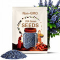 Blue Beech Tomato
