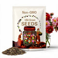 Mignon Butterfly Dahlia Seeds: Rainbow Mix, Open-Pollinated (20+ Seeds)