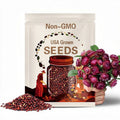 CRANBERRY ROSE Strawflower NEW release 50 seeds